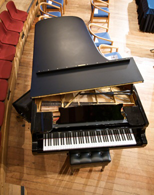 Extensive Piano Selection