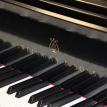 Steinway Model C Very hard to Find